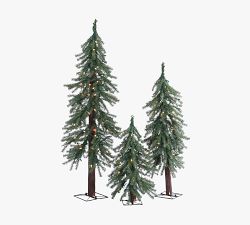 Lit Faux Alpine Trees with Clear Lights - Set of 3 - 2 Ft., 3 Ft., &amp; 4 Ft.