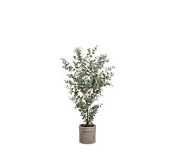 Faux Eucalyptus Tree In Cement Planter - 8'