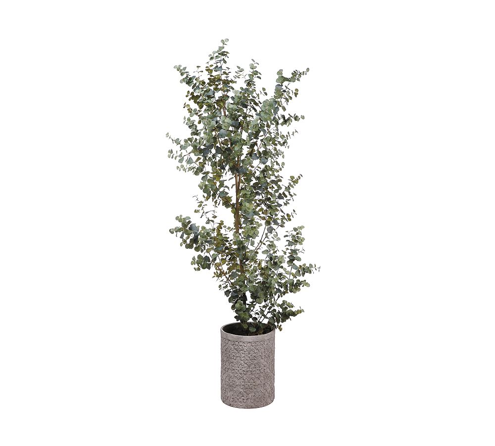 Faux Eucalyptus Tree In Cement Planter - 8'