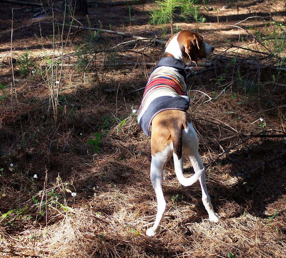 Pendleton&#8482; National Park Pet Coat