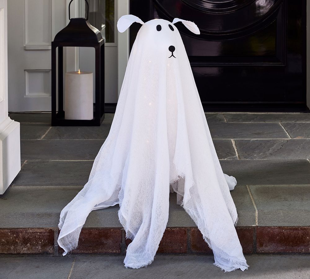 Lit Ghost Dog