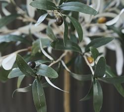 Faux Olive Topiary