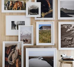 Herd of the Eastern Sierra by Meg Haywood Sullivan