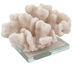 White Pocillopora Coral on Clear Glass Base