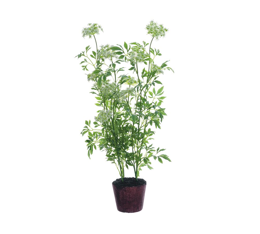 Faux Queen Anne's Lace Plant
