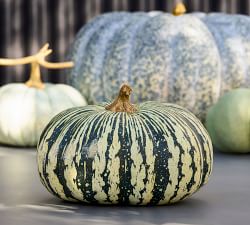 Open Box: Faux Pumpkins &amp; Gourds
