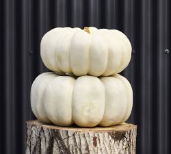 Open Box: Faux Pumpkins &amp; Gourds