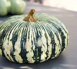 Open Box: Faux Pumpkins &amp; Gourds
