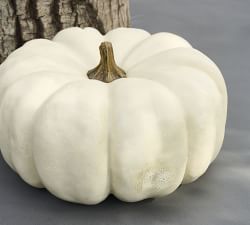 Open Box: Faux Pumpkins &amp; Gourds
