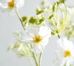 Faux Queen Anne's Lace And Cosmos Bouquet