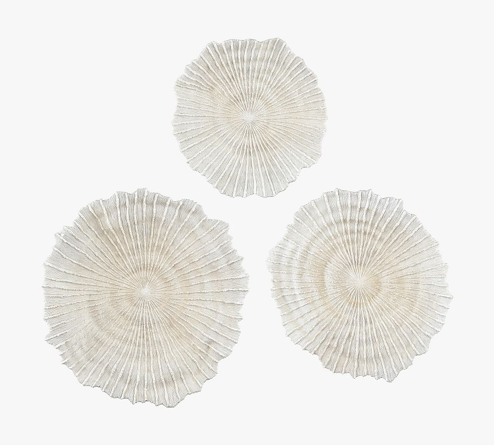 Handmade Ceramic Shell Wall Art - Set of 3
