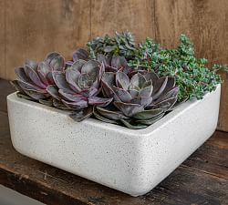 Finley Square Footed Fiber Cement Planter