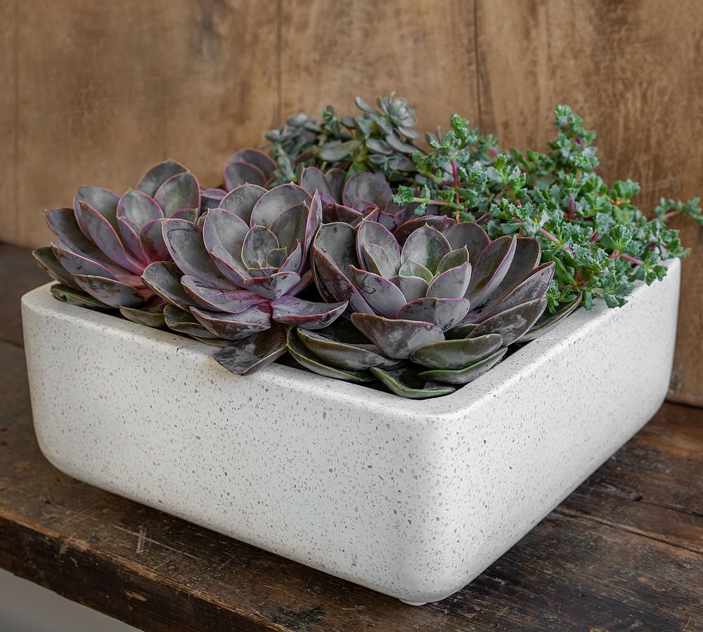 Finley Square Footed Fiber Cement Planter
