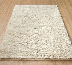 Curtis Performance Shag Rug