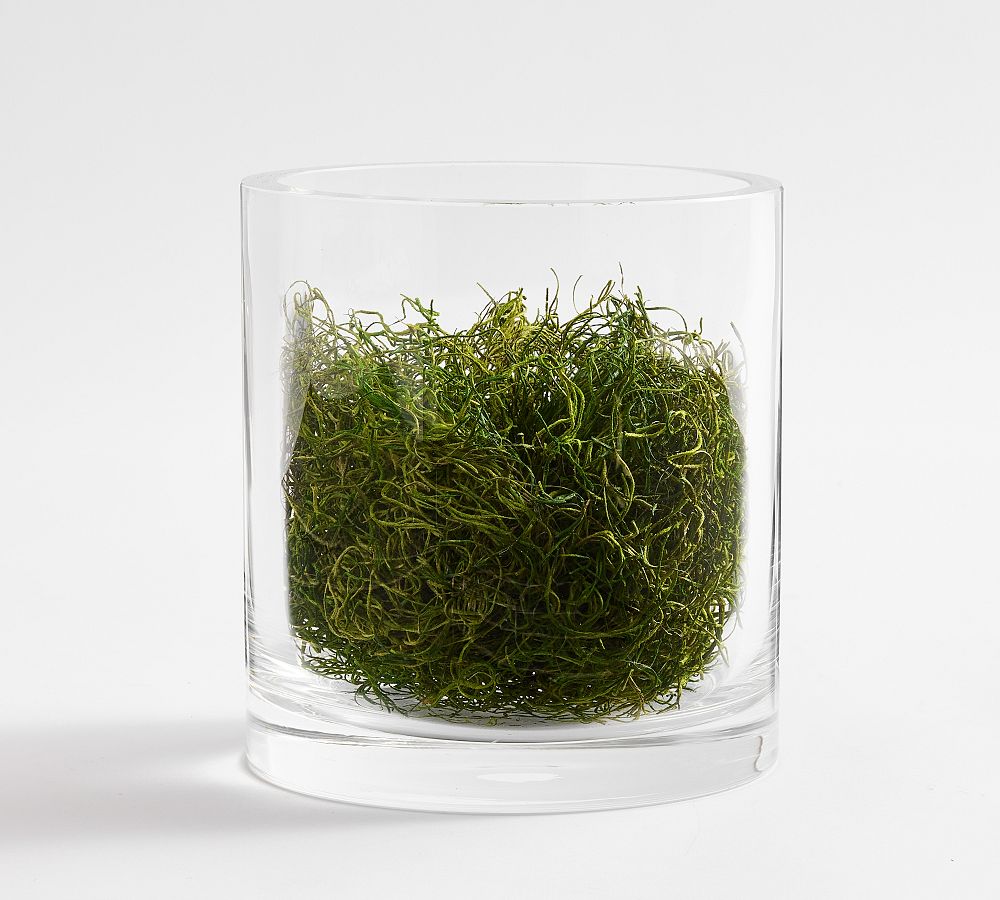 Reindeer Moss Vase Filler