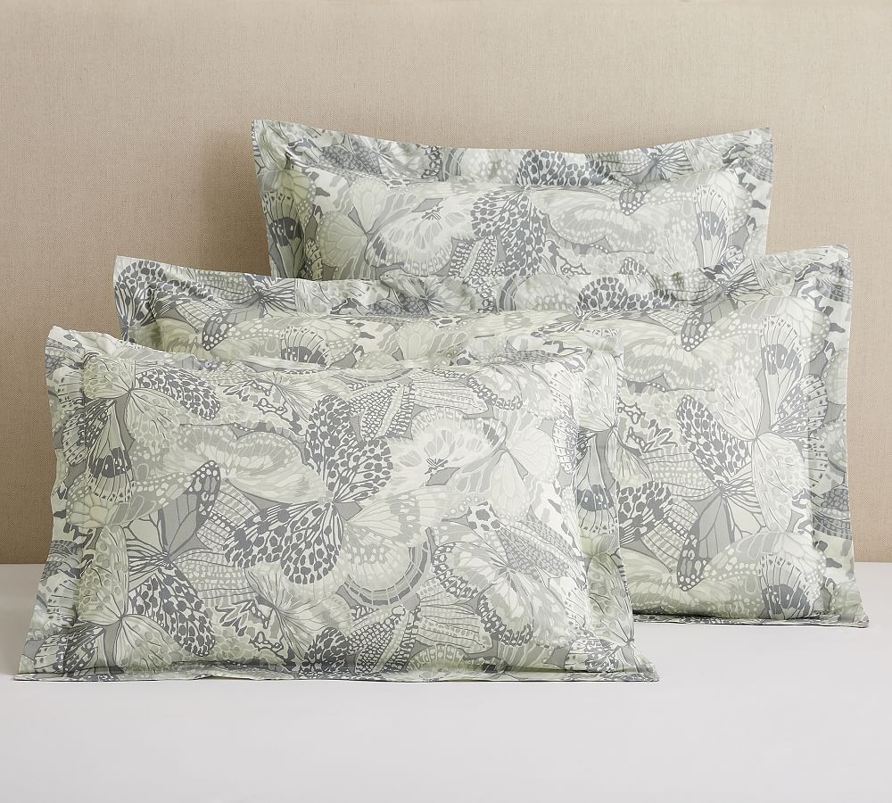 Butterfly Organic Percale Sham