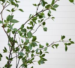 Faux Potted Citrus Tree