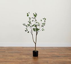 Faux Potted Citrus Tree