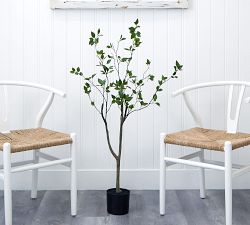 Faux Potted Citrus Tree