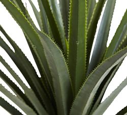 Faux Spiked Agave Plant