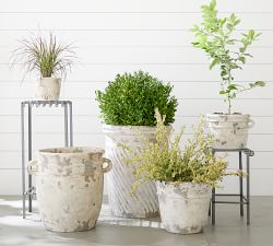 Eclectic Villa Outdoor Planters