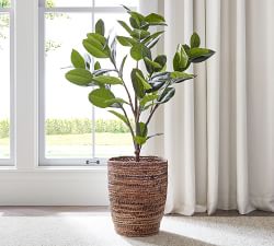 Wynne Coil Abaca Tote Baskets