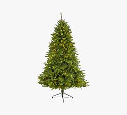 Lit Sierra Spruce Artificial Christmas Tree
