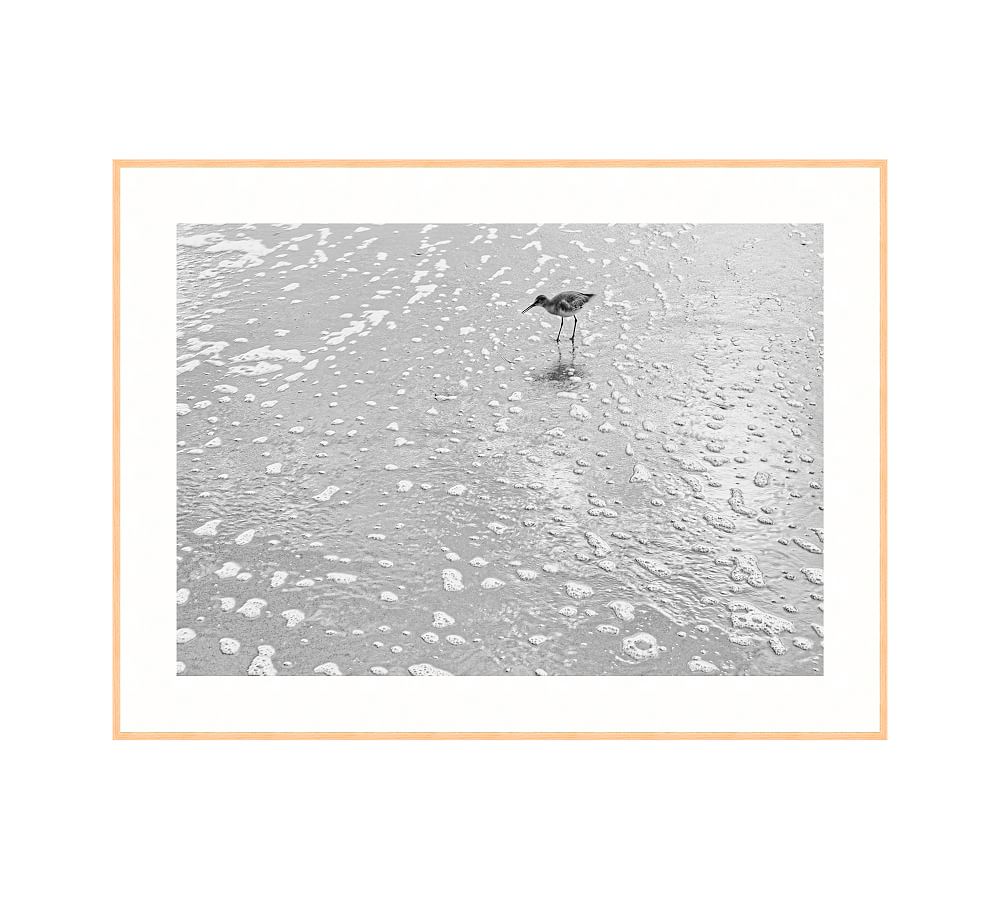 Morning Bird Print By Lannie Hall