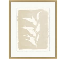 Open Leaves Framed Print
