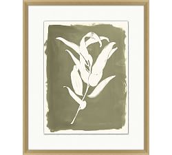 Open Leaves Framed Print