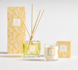 Bloom Scent Collection - Orange &amp; Vetiver