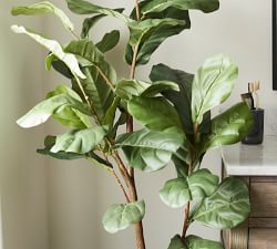 Open Box: Faux Fiddle Leaf Fig Trees