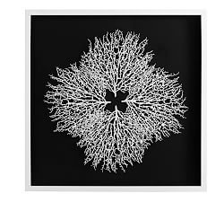 Coral Shadow Box Art