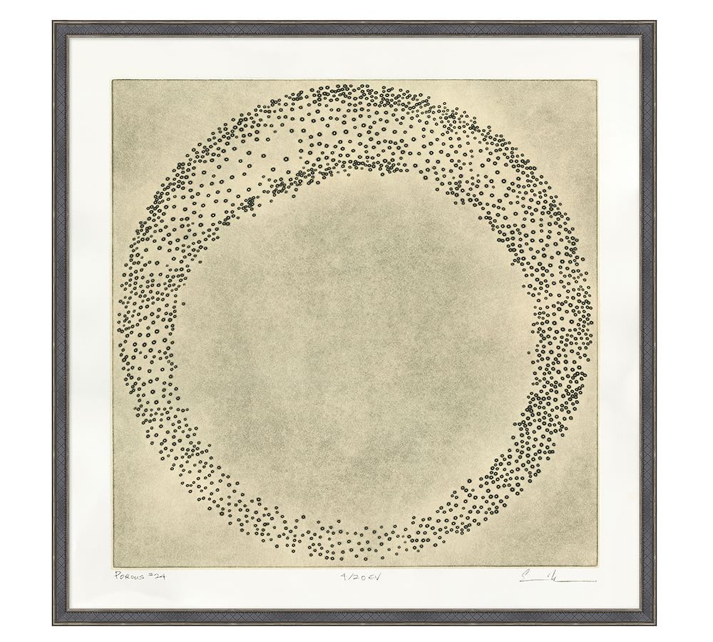 Porous # 24 Framed Print