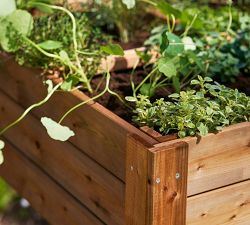 Wooden Garden Bed