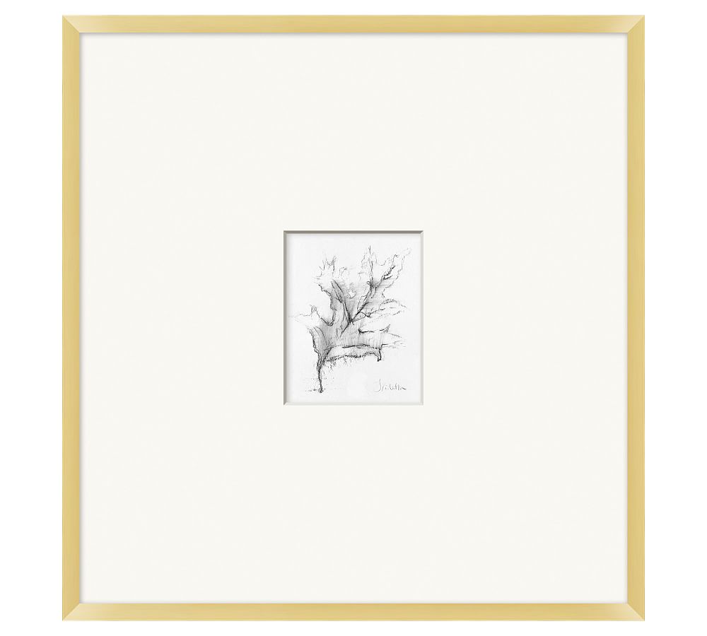 Charcoal Leaf Sketch Framed Print, 25" x 26"