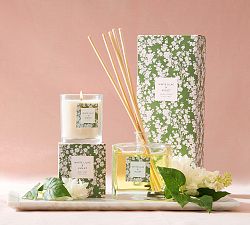 Bloom Scent Collection - White Lilac &amp; Violet