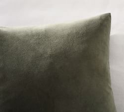 Everywhere Velvet Pillow