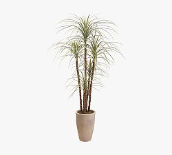 Faux Dracaena Tree In Pot