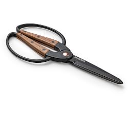 Garden Scissors