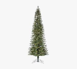 Lit Narrow Jackson Pine Faux Christmas Trees&#8203;