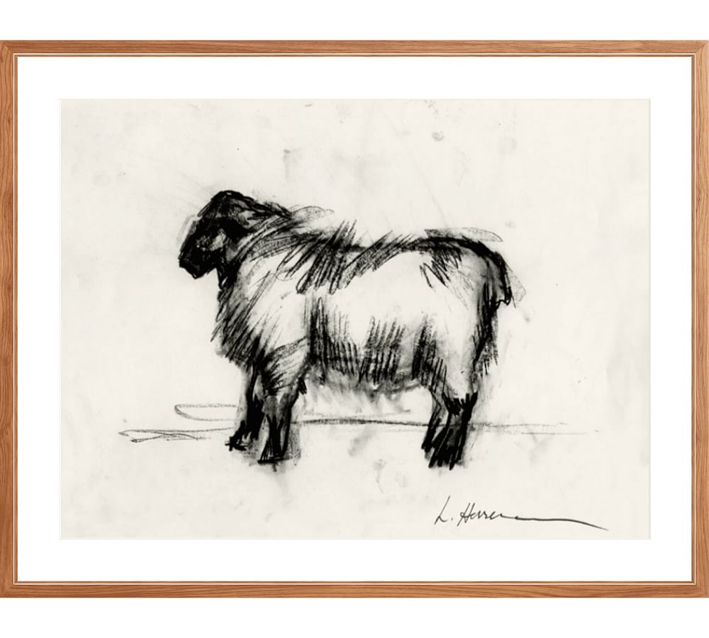 Custom Framed Print - Sheep by The Artists Studio