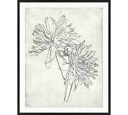 Blooming Sketch 1 Framed Print