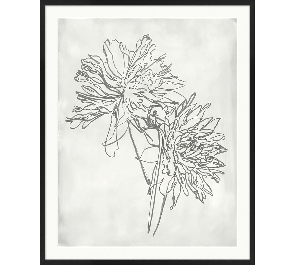 Blooming Sketch 1 Framed Print