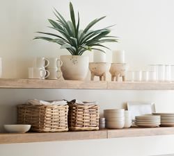 Faux Faded Striped Agave Plant