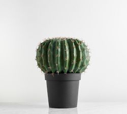 Faux Barrel Cactus