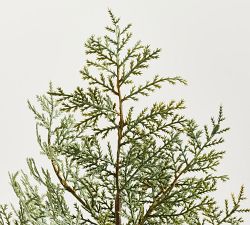 Pre-Lit Faux Cedar Trees