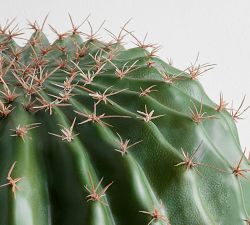 Faux Barrel Cactus