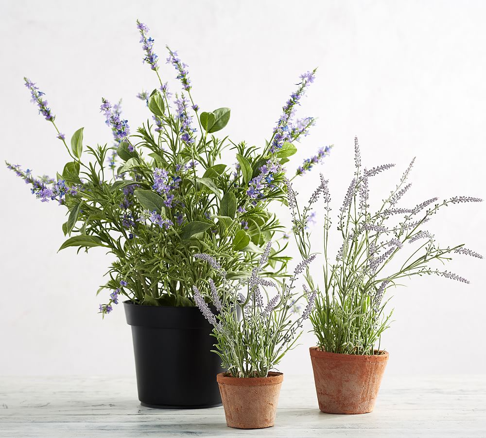 Faux Potted Lavender in Terracotta Pot