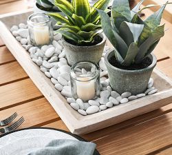 Faux Snake Plant